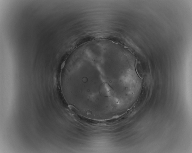 X0000116030655200911271137