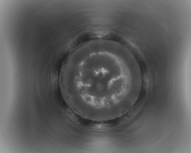 X0000116030657200911271137