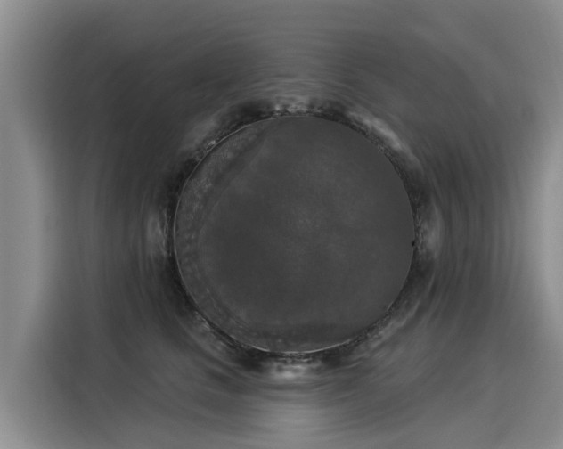 X0000116030661200911271137