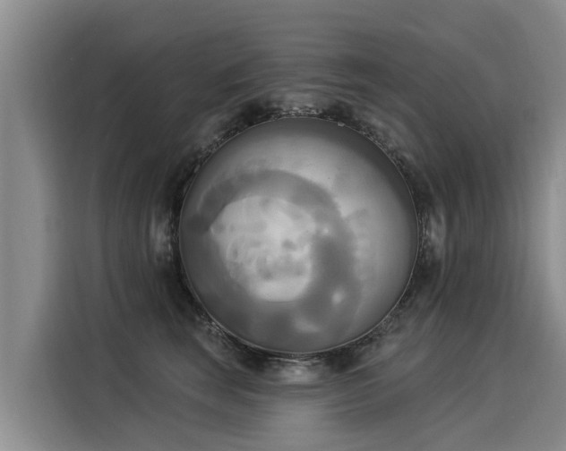 X0000116030663200911271137