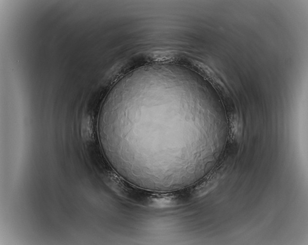 X0000116030667200911271137