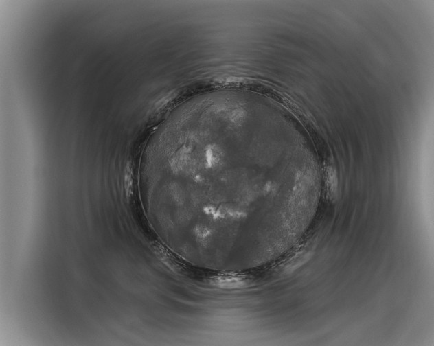 X0000116030668200911271137