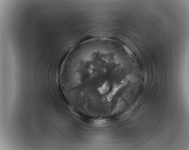 X0000116030669200911271137