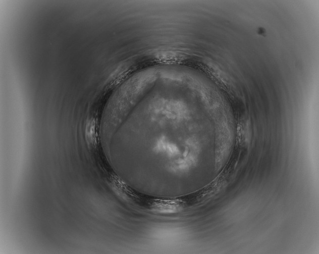 X0000116030671200911271137
