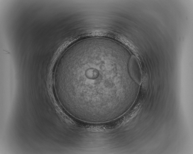 X0000116030673200911271136