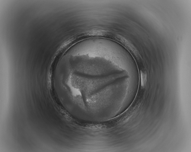 X0000116030675200911271136