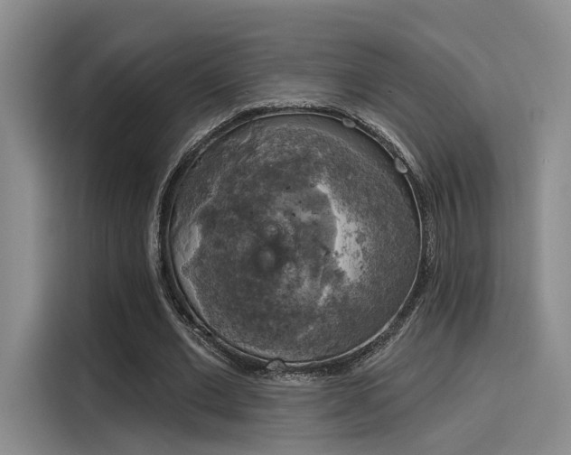 X0000116030677200911271136