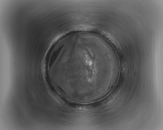X0000116030679200911271136