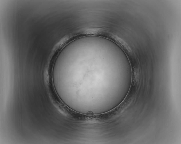 X0000116030682200911271136