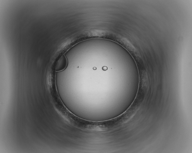 X0000116030683200911271136