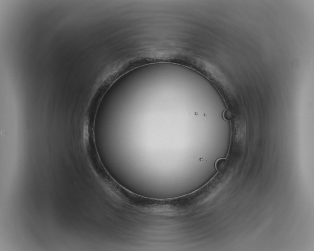 X0000116030685200911271136
