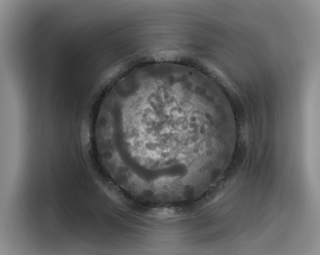 X0000116030687200911271136