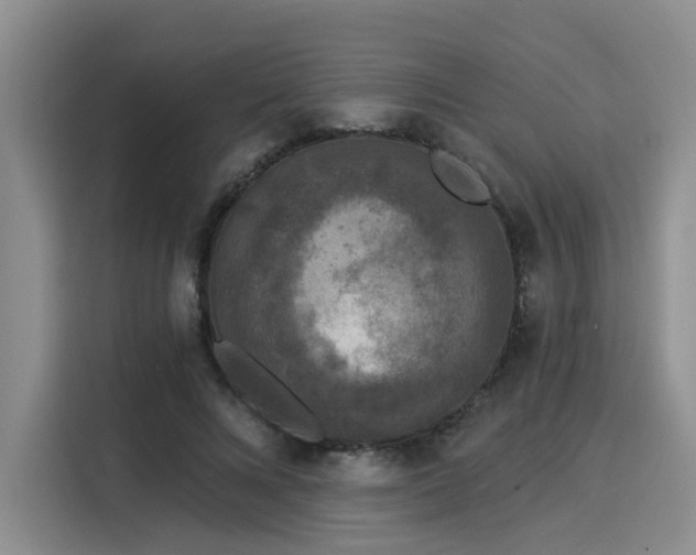 X0000116030688200911271136