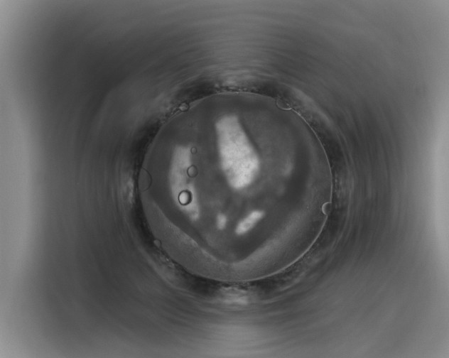 X0000116030703200911271136
