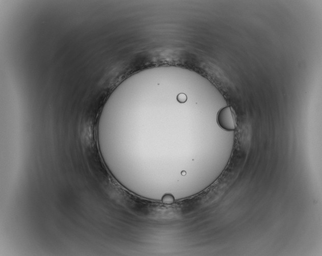 X0000116030709200911271136