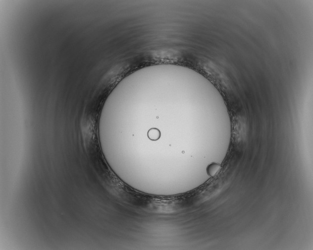 X0000116030713200911271136