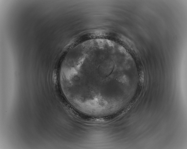 X0000116030715200911271136