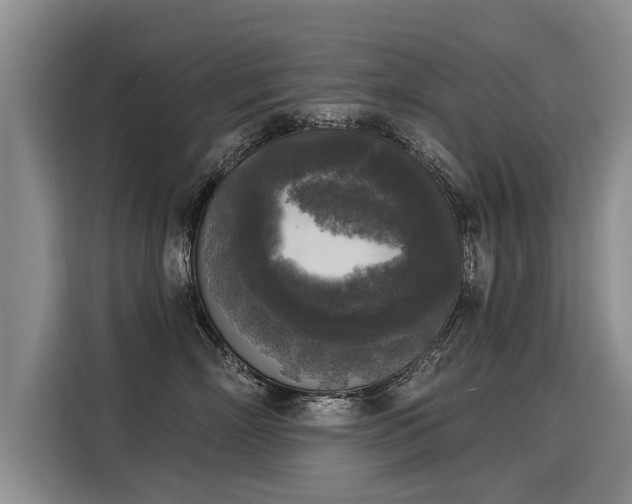 X0000116030718200911271136