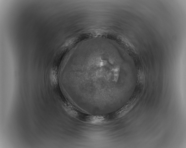 X0000116030719200911271136