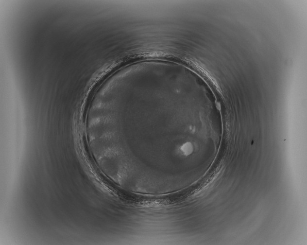 X0000116030721200911271135