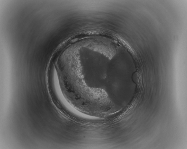 X0000116030722200911271135