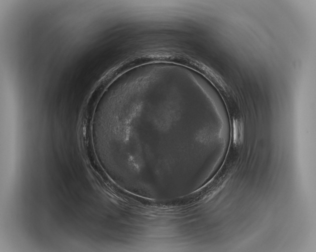 X0000116030723200911271135