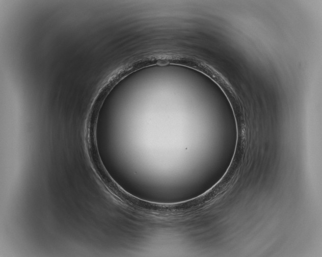 X0000116030725200911271135
