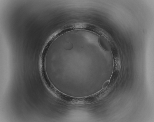 X0000116030726200911271135