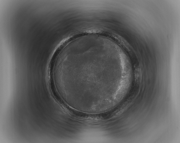 X0000116030727200911271135