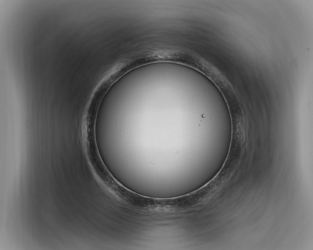 X0000116030730200911271135