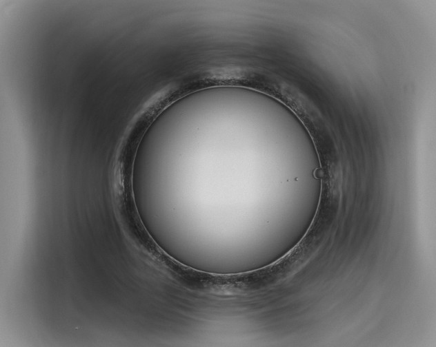 X0000116030731200911271135