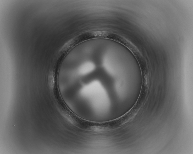 X0000116030733200911271135