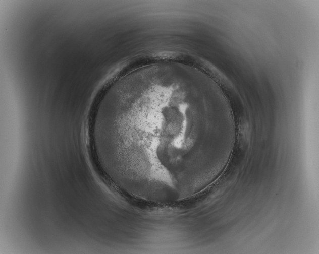 X0000116030734200911271135