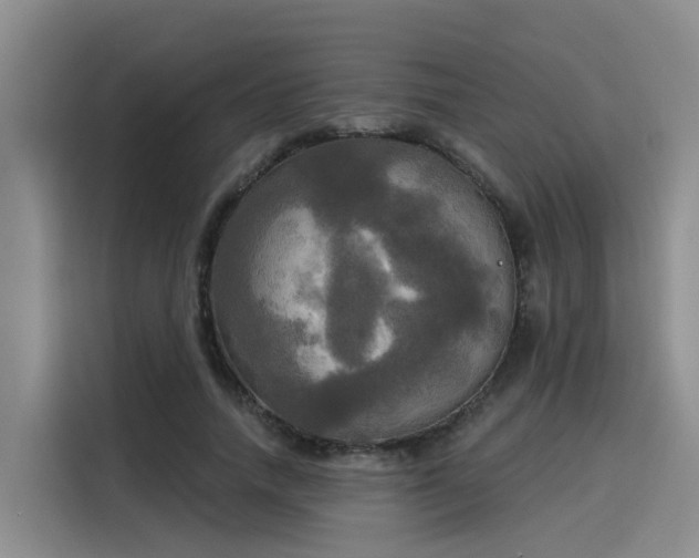 X0000116030738200911271135