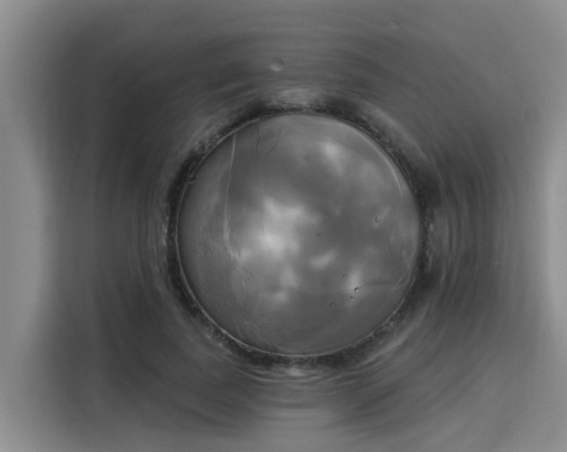 X0000116030739200911271135