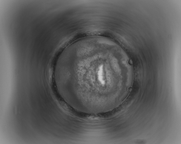 X0000116030742200911271135