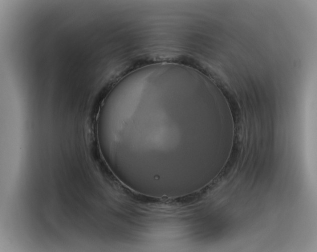 X0000116030743200911271135
