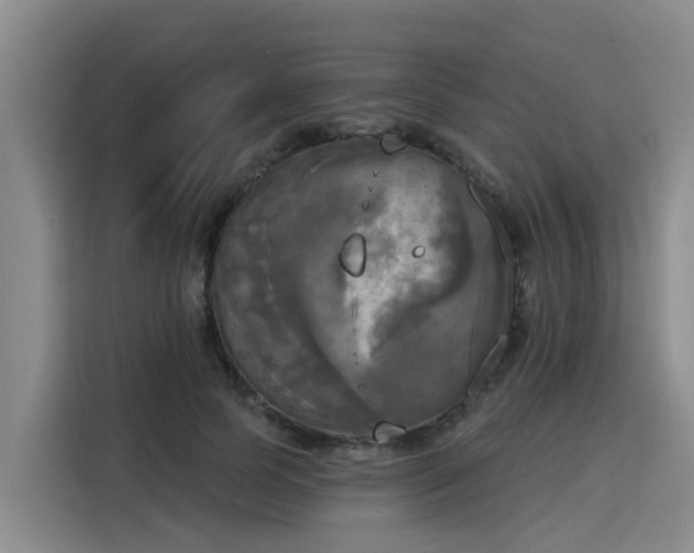 X0000116030745200911271135
