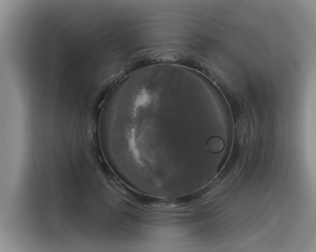 X0000116030747200911271135