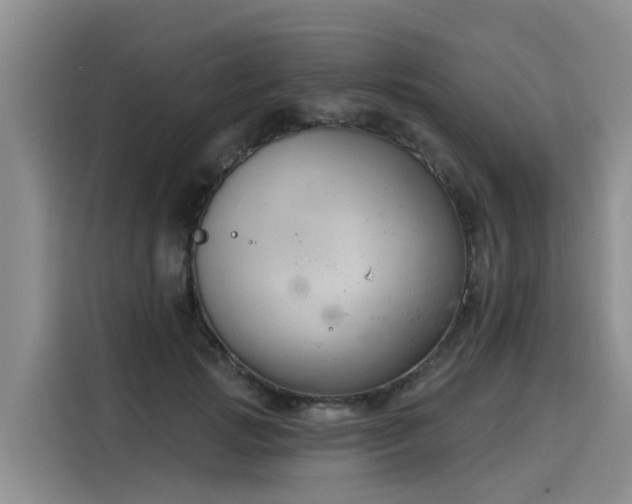 X0000116030749200911271135