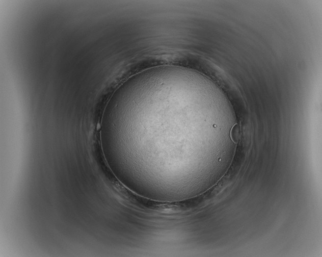 X0000116030750200911271135