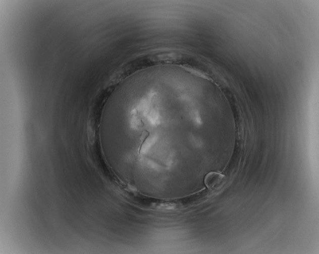 X0000116030751200911271135
