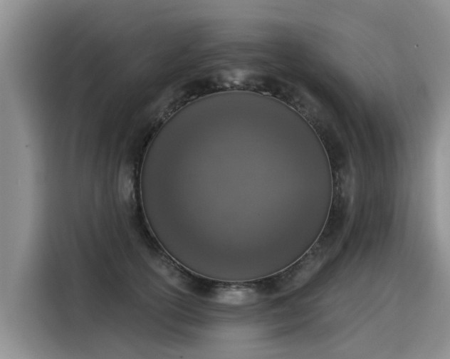 X0000116030754200911271136