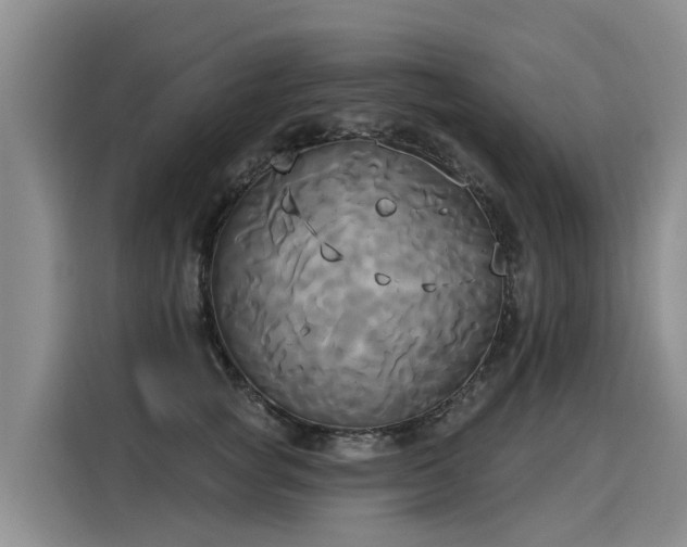 X0000116030757200911271136