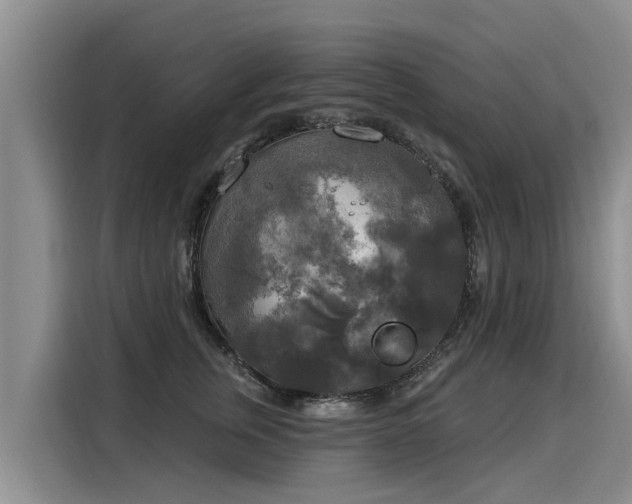 X0000116030759200911271136