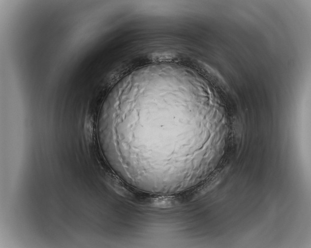 X0000116030761200911271136