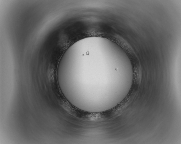 X0000116030762200911271136