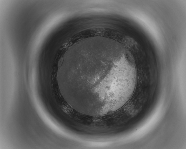 X0000116030766200911271136