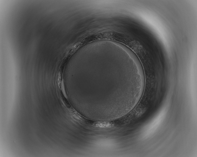 X0000116030767200911271136