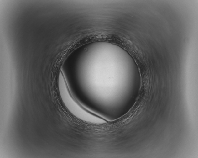 X0000116030769200911271135